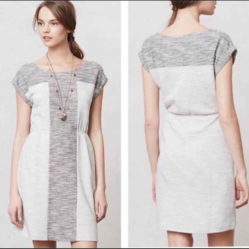 Anthro Edme & Esyllte gray spacedye day dress